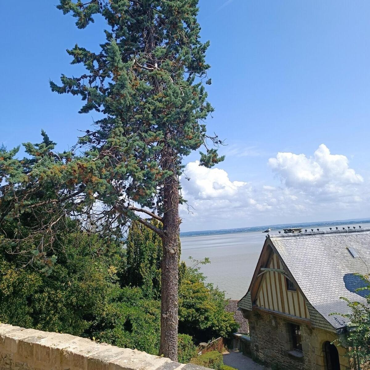 Villa Chez Adele Mont St. Michel Exterior foto